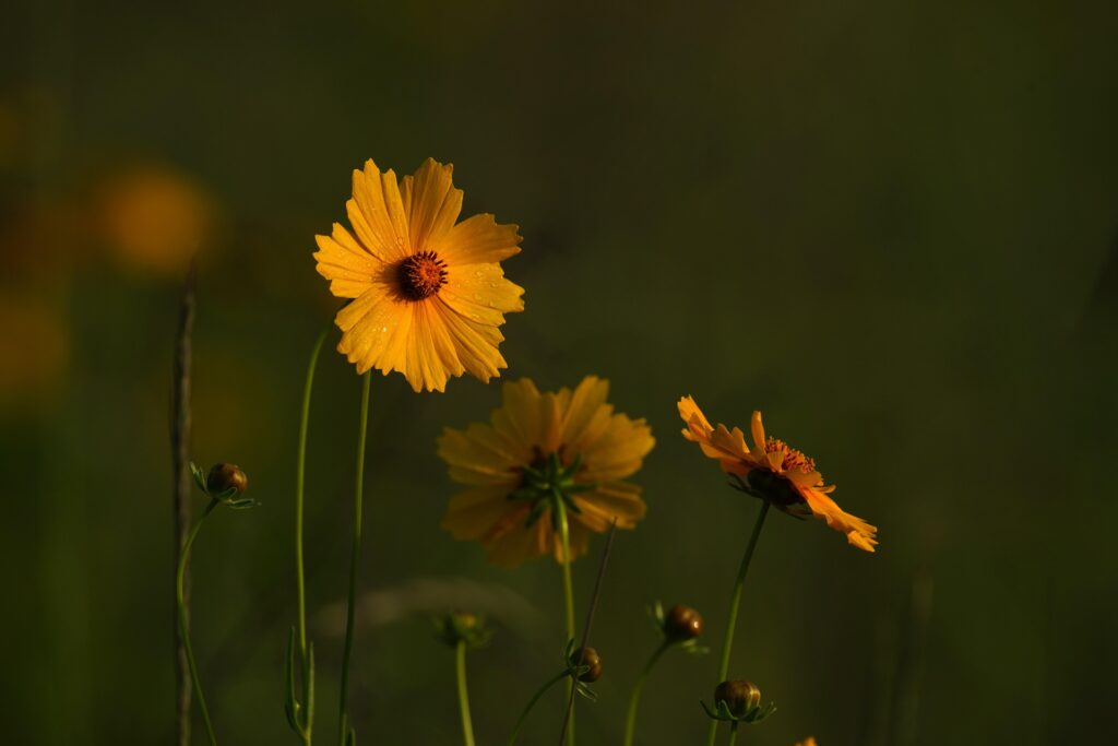 Właściwa droga do sukcesów