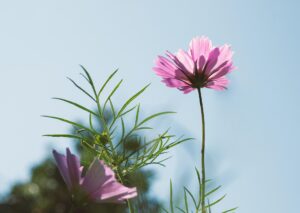 Gdy nowe zastępuje stare...